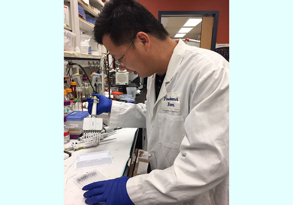 吳磊燕博士專注實(shí)驗(yàn)